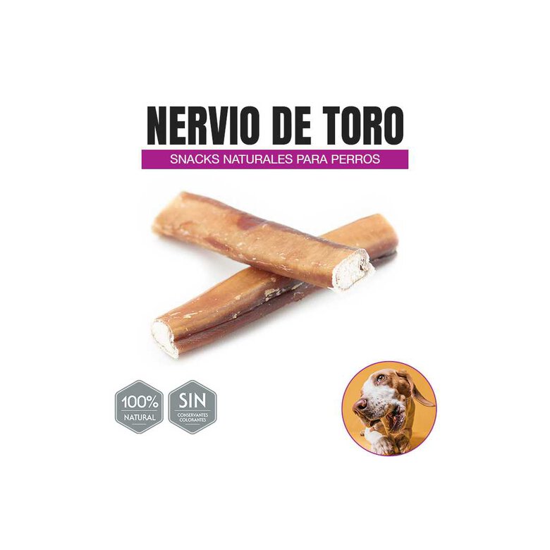 Nervio de toro (2 unidades), , large image number null