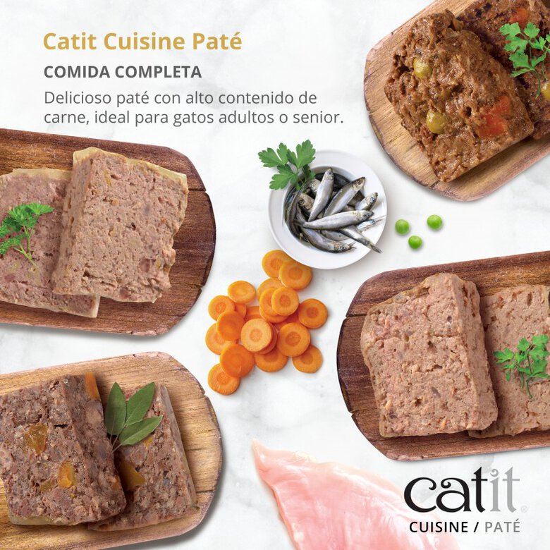 Paté para gatos Catit Cuisine, Vacuno con Zanahoria-95g, , large image number null