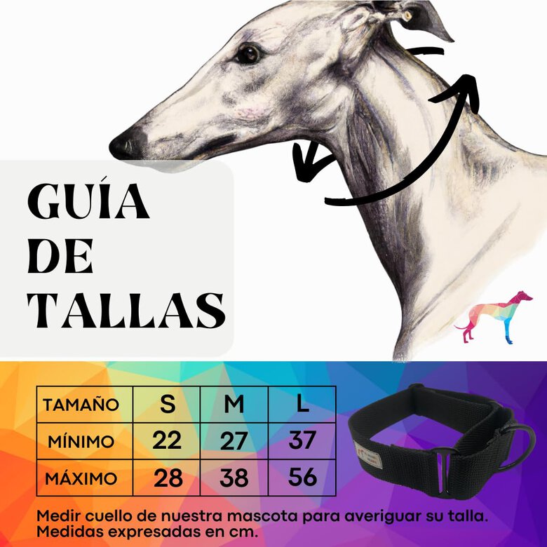 EL GALGUITO VALIENTE Collar Martingale para galgo hecho a mano en España, , large image number null