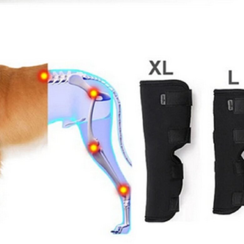 Doggarage Protector Articular Trasero para perros, , large image number null