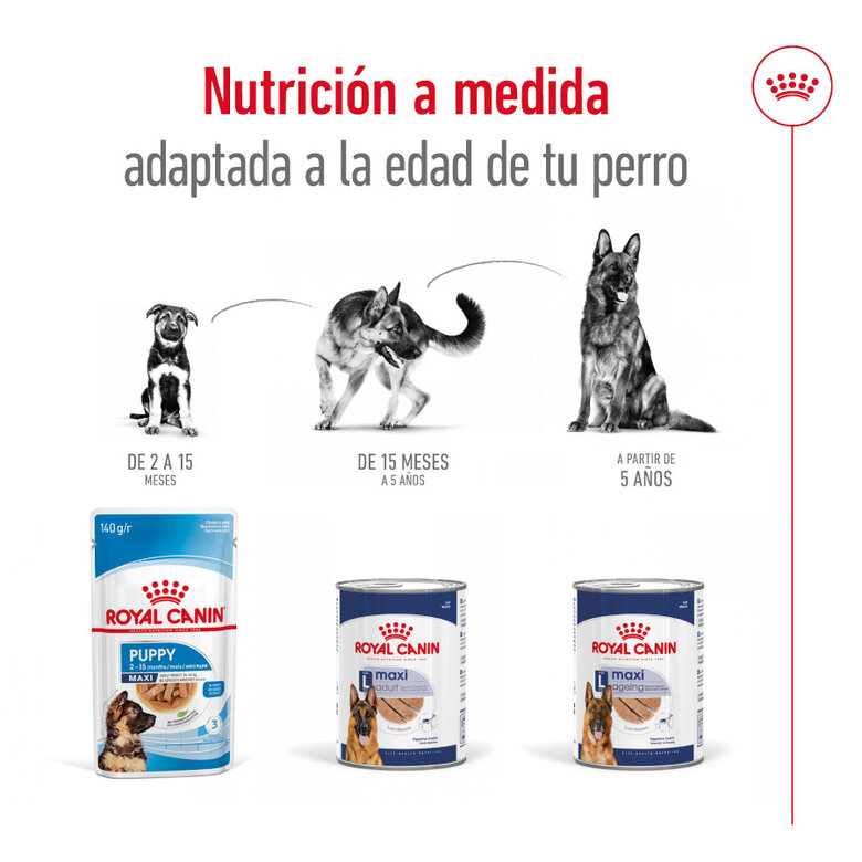 Royal Canin Maxi Ageing 5+ Paté lata para perros, , large image number null