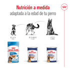 Royal Canin Maxi Ageing 5+ Paté lata para perros, , large image number null