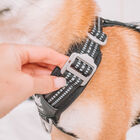 Foxys Arnés Antitirones con hebillas reforzadas negro para perros, , large image number null