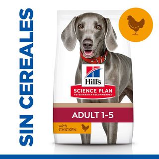 Hill’s Science Plan Adult Large Pollo pienso para perros