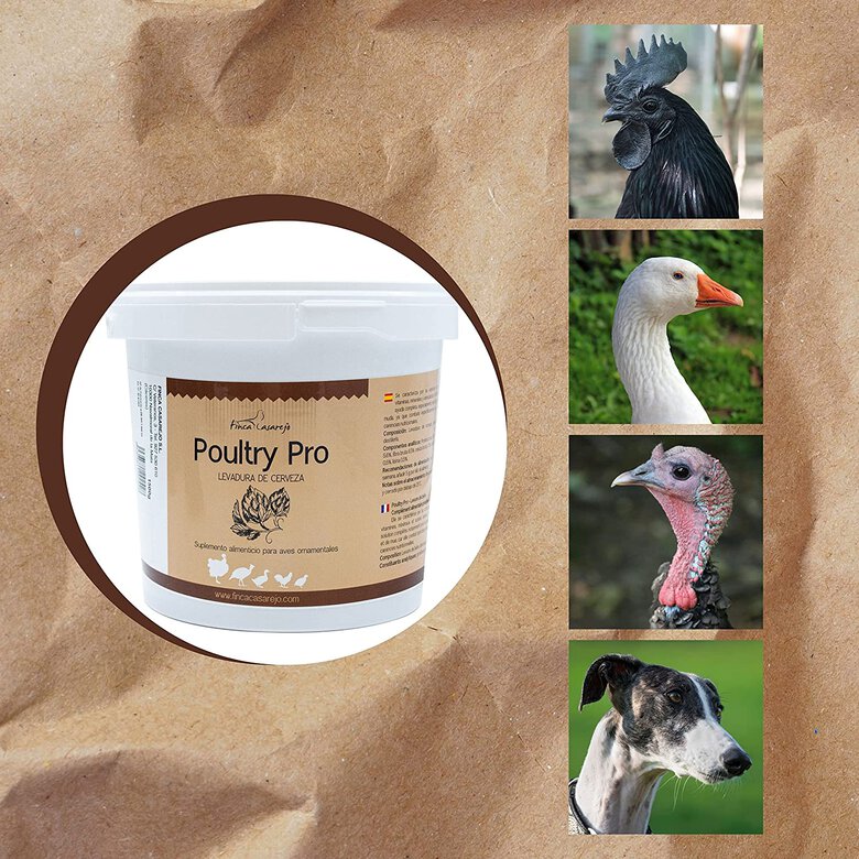 Levadura de Cerveza para Animales – Poultry Pro 1,5Kg – Fortalece el Plumaje en Aves y el Pelaje en Perros – Ayuda al Sistema Inmunitario, la Flora Intestinal, la Muda y la Cría, , large image number null