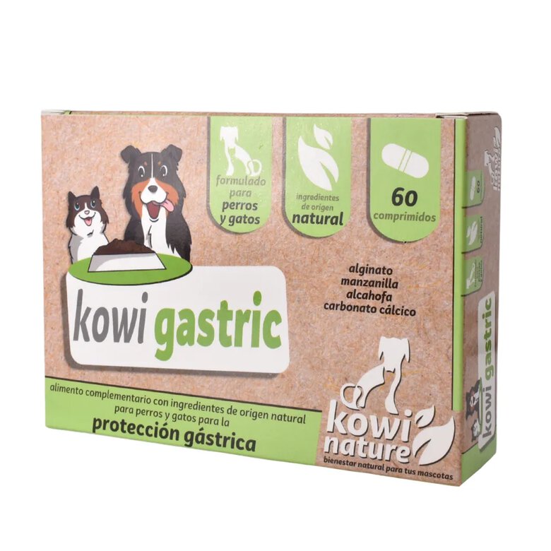 KOWI GASTRIC, 60 COMPRIMIDOS, , large image number null