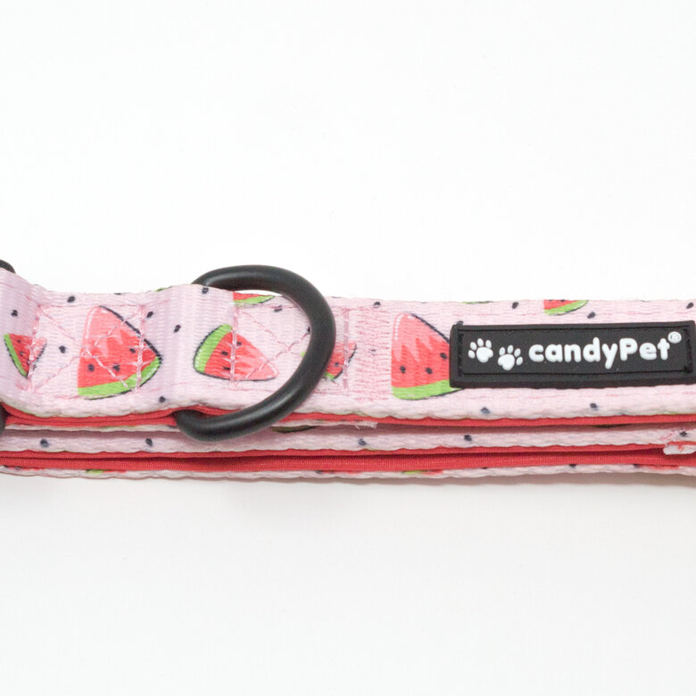 CandyPet Collar Click Watermelon Nylon para perros, , large image number null