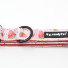 CandyPet Collar Click Watermelon Nylon para perros, , large image number null