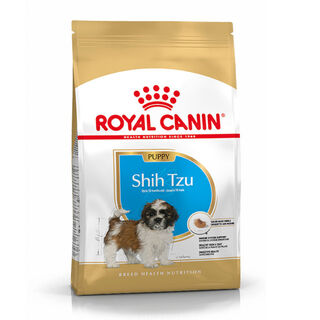 Royal Canin Puppy Shih Tzu pienso para perros