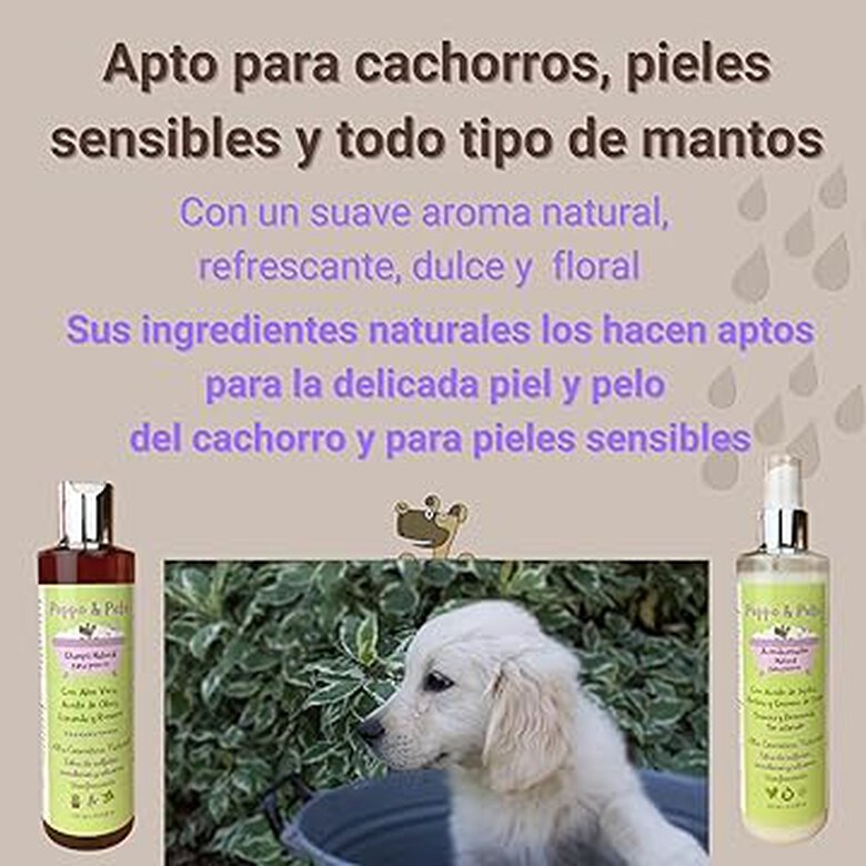 Peppo and Pets- Pack Champú y Spray Acondicionador natural para perros, , large image number null