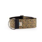 Pampy Speedy Regulable Collar Galgo Leopardo Amarillo para perros, , large image number null