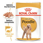 Royal Canin Adult Poodle Paté sobre para perros, , large image number null