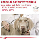 410 g Royal Canin Veterinary Sensitivity Control Mousse de Pollo y Arroz lata para perros, , large image number null