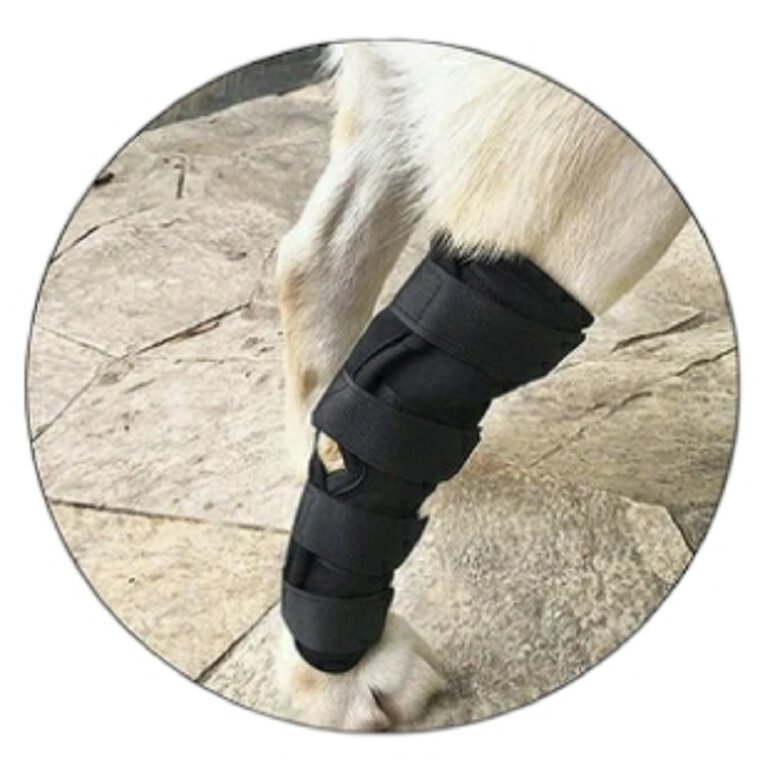 Doggarage Protector Articular Trasero para perros, , large image number null