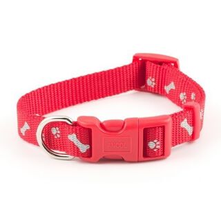 Collar modelo Paw N Bone para perros color Rojo