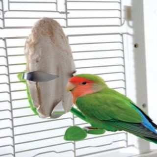 Soporte con forma de hoja para aves color Verde