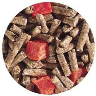 Pienso Exotic Nutrition para petauros sabor Eucalipto y papaya