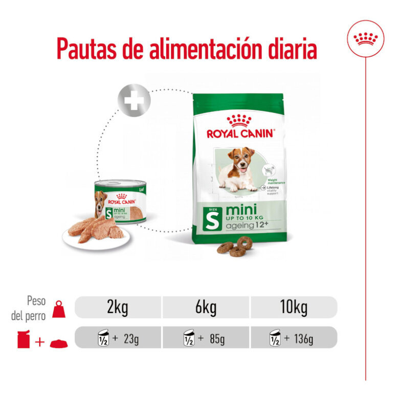 Royal Canin Mini 8+ Ageing lata para perros, , large image number null