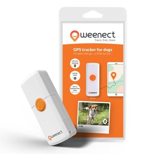 GPS weenect perro/gato de segunda mano por 40 EUR en Terrassa en WALLAPOP