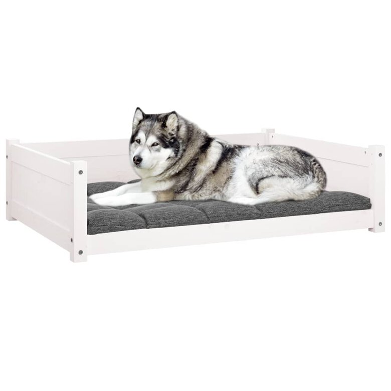 VidaXL Estructura lisa cama de madera blanca para perros, , large image number null