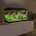 Tetra Kit acuario Starter Line LED Diurna Nocturna, , large image number null