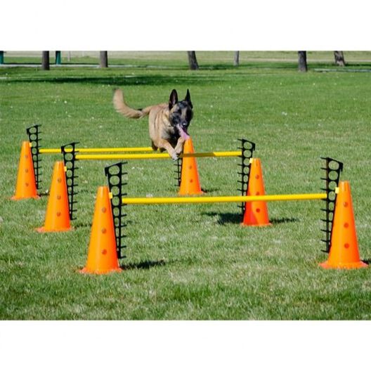 Juego de equipo de agilidad para perros, 28 piezas, kit de entrenamiento de  obstáculos para perros para entrenamiento de mascotas, juegos al aire