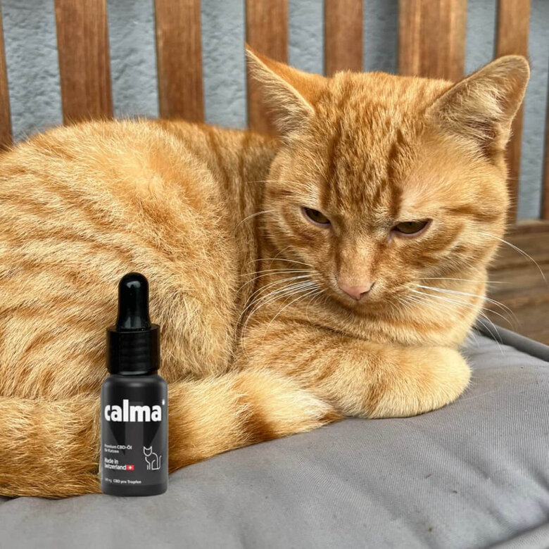 CALMA CBD para Gatos | Aceite de CBD, , large image number null