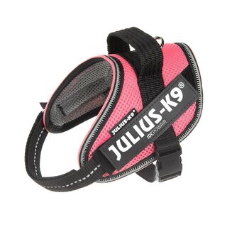 Julius K9 Idc Powair Rosa para perros