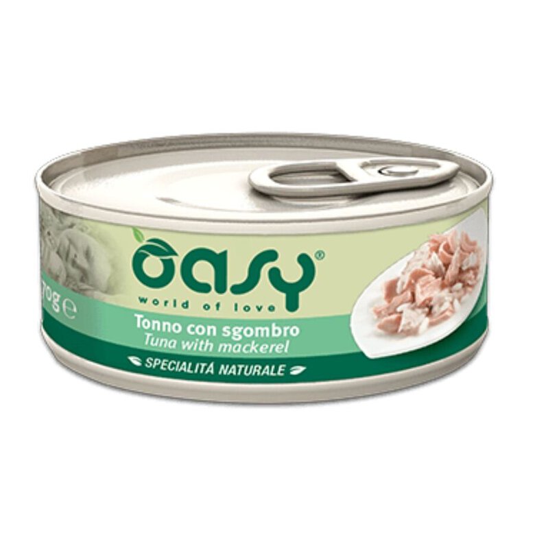 OASY GATO LATA ATUN/CABALLA 70G, , large image number null