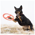 juguete interactivo para perros BIONIC Toss-N-Tug Ring, 22,7 cm, , large image number null