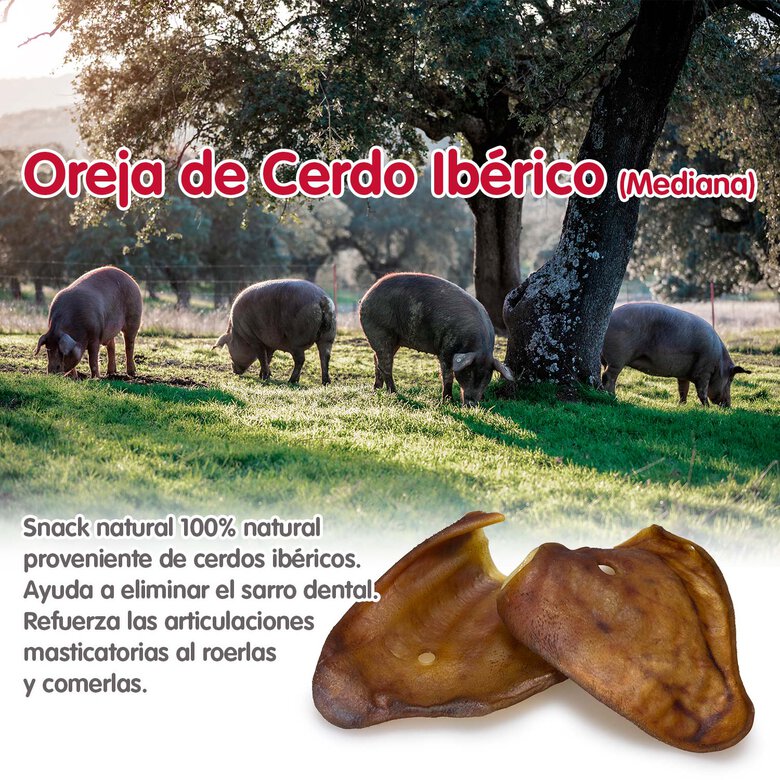 Oreja de cerdo IBÉRICO mediana (bolsa de 30 unidades), , large image number null