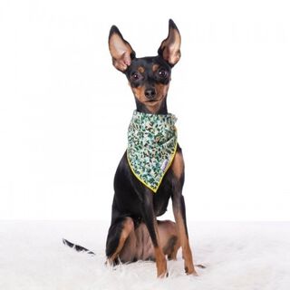 Bandana para perros estampado Camuflaje color Verde