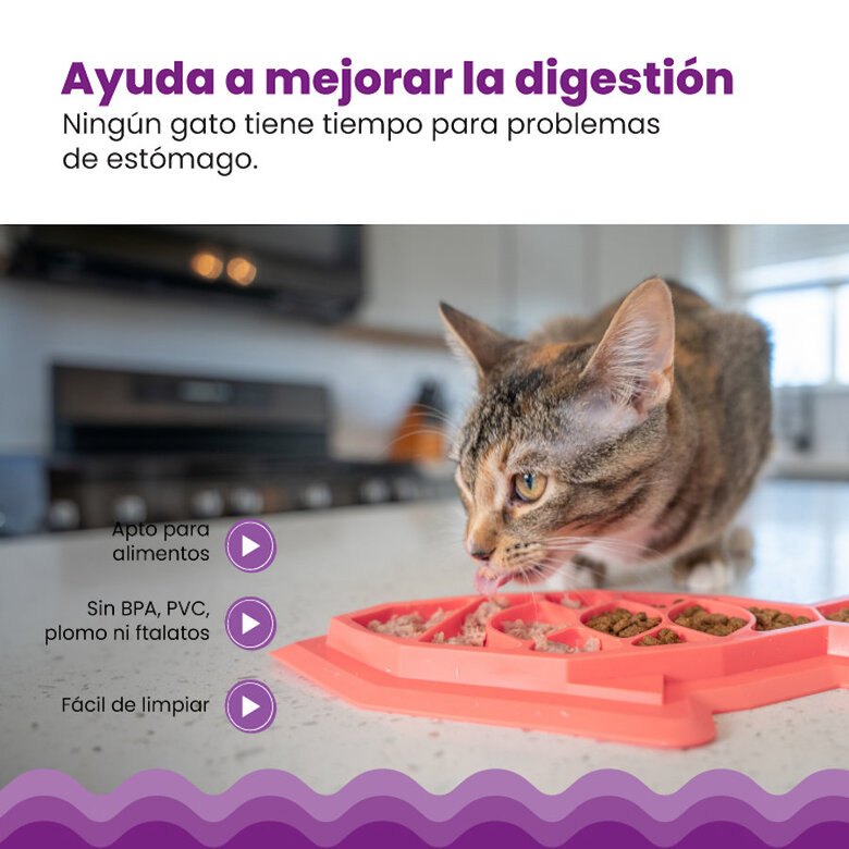 Outward Hound Catstages Fishie Fun Pez de Juguete Dispensador de Comida para gatos, , large image number null