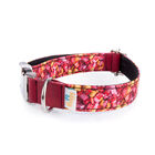 Collar Pamppy Funny caramelos para perros color Multicolor, , large image number null