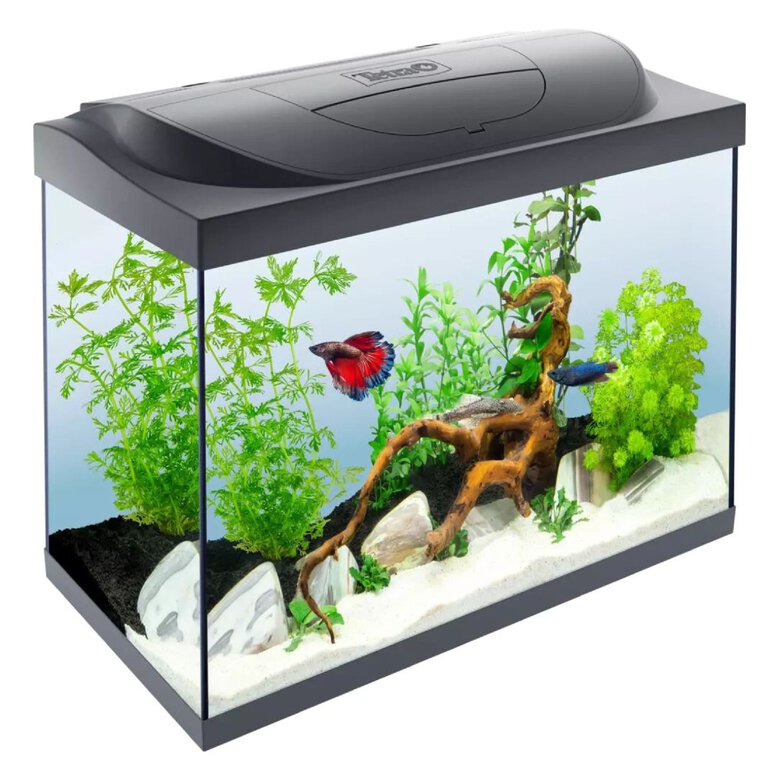 Tetra Kit acuario Starter Line LED Diurna Nocturna, , large image number null