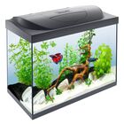 Tetra Kit acuario Starter Line LED Diurna Nocturna, , large image number null