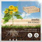 Outsunny Huerto Urbano de Madera Cuadrada 90x90x28 cm con 9 Compartimentos Extraíbles Arriate de Jardín para Cultivos Plantas Flores Natural, , large image number null