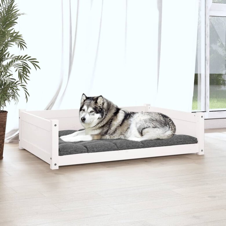 VidaXL Estructura lisa cama de madera blanca para perros, , large image number null