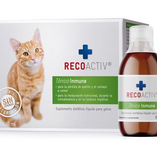 Recoactiv Tónico Inmune suplemento dietético para el refuerzo inmunológico para gatos