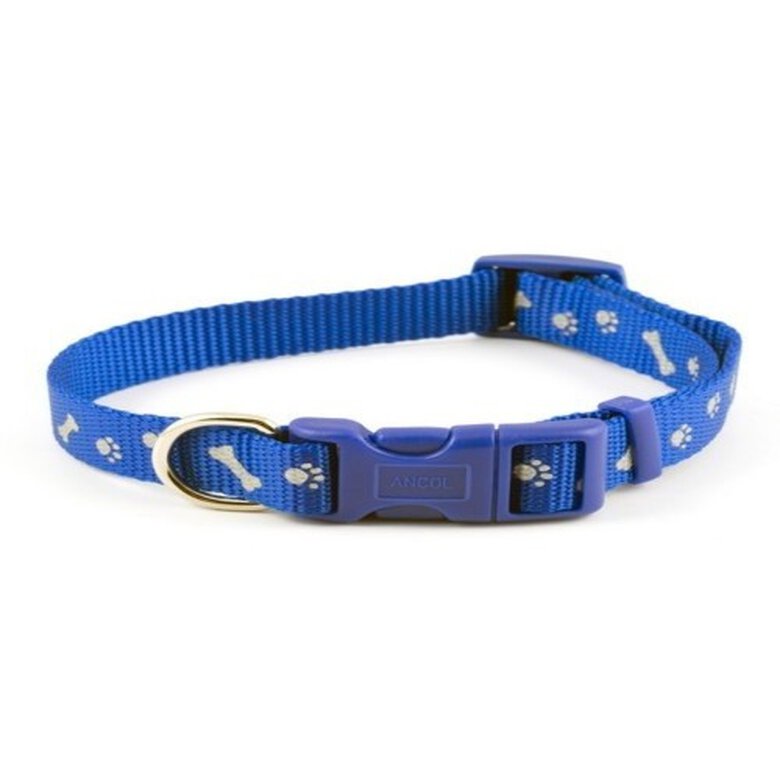 Ancol paw n bone collar de nylon estampado huesos azul para perros, , large image number null