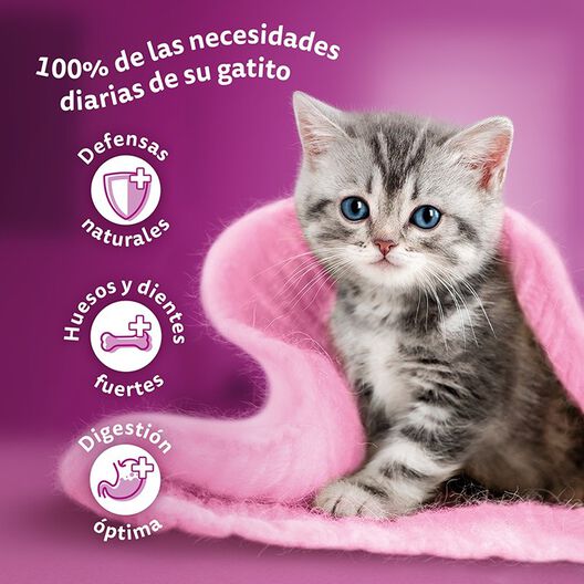 Whiskas Pure Delight Junior Selección Aves Gelatina en Bolsita para gatos, , large image number null