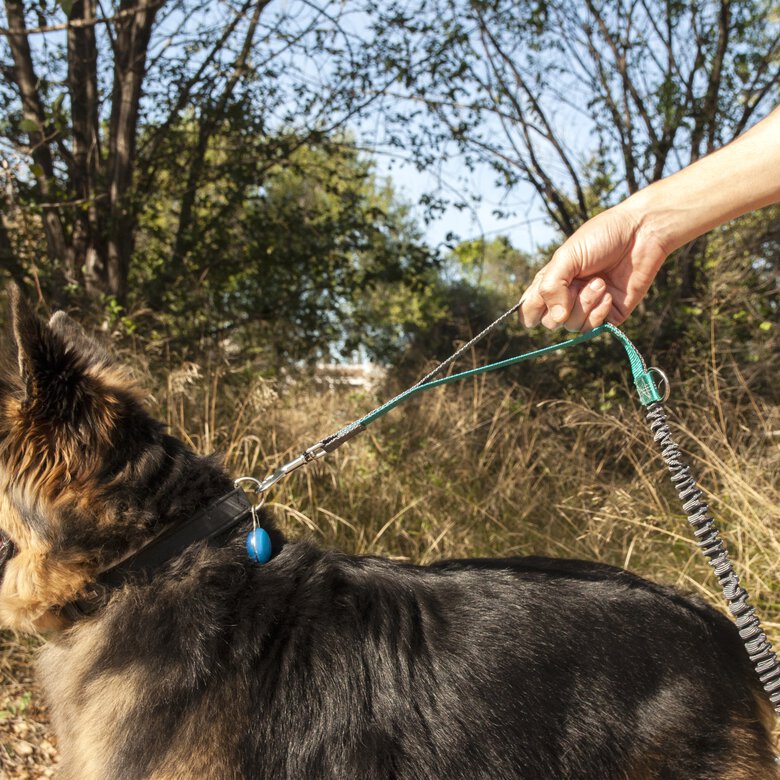 Correa ajustable para perros de jogging 160-220 cm. Correa manos libres elástica y reflectante con cinturón, , large image number null
