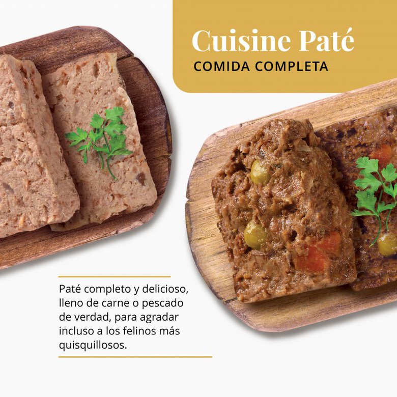 Paté para gatos Catit Cuisine, Pavo con Pollo y Jamón-95g, , large image number null