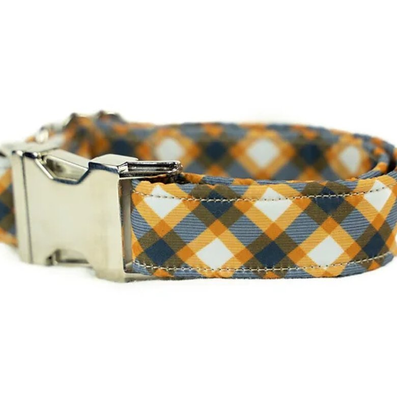 Pets & Props Collar ROYAL BLUE PLAID para perro, , large image number null