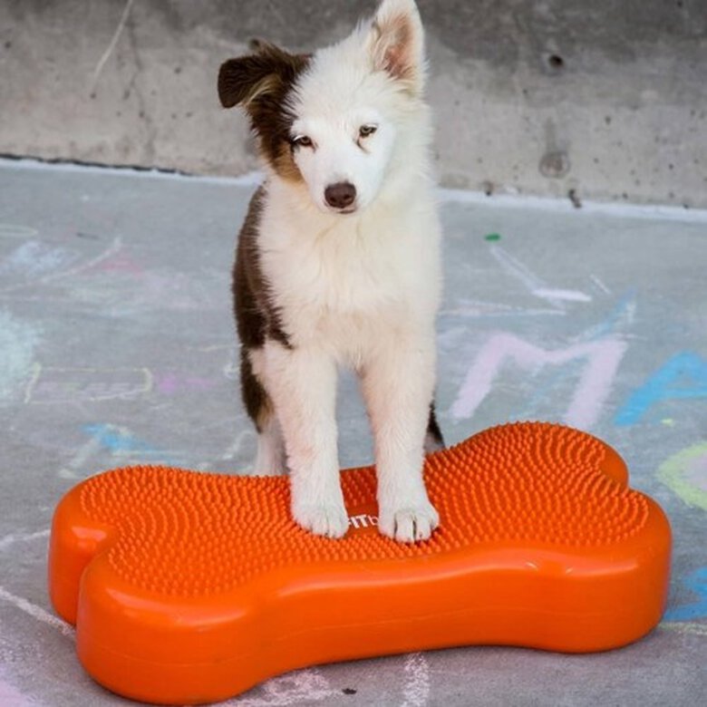 Plataforma de equilibrio para mascotas color Naranja, , large image number null