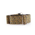 Pampy Speedy Regulable Collar Galgo Leopardo Amarillo para perros, , large image number null