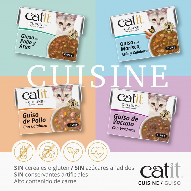 Guiso para gatos Catit Cuisine, Pollo con calabaza-95g, , large image number null