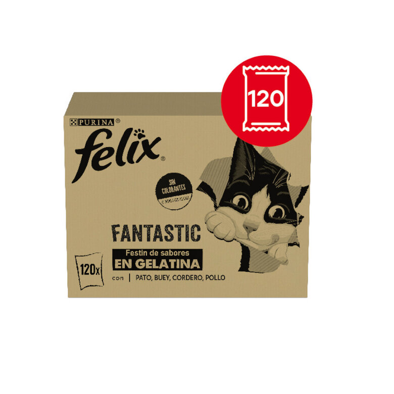 Felix Fantastic Selecciones Favoritas de Carnes en Gelatina sobre para gatos – Multipack 120, , large image number null