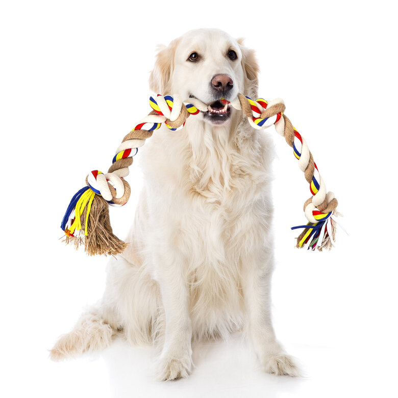 Nobleza - Cuerda de juguete para perros 100% algodón, beneficiosa para la salud mental del perro, la salud dental y la limpieza de los dientes, el mejor regalo para todo tipo de perros, beige y marrón - 68cm, , large image number null