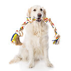 Nobleza - Cuerda de juguete para perros 100% algodón, beneficiosa para la salud mental del perro, la salud dental y la limpieza de los dientes, el mejor regalo para todo tipo de perros, beige y marrón - 68cm, , large image number null